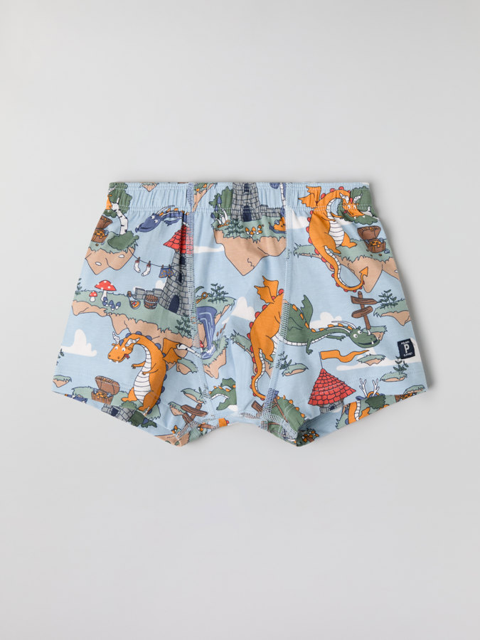 Boxershorts, Drachenmotiv