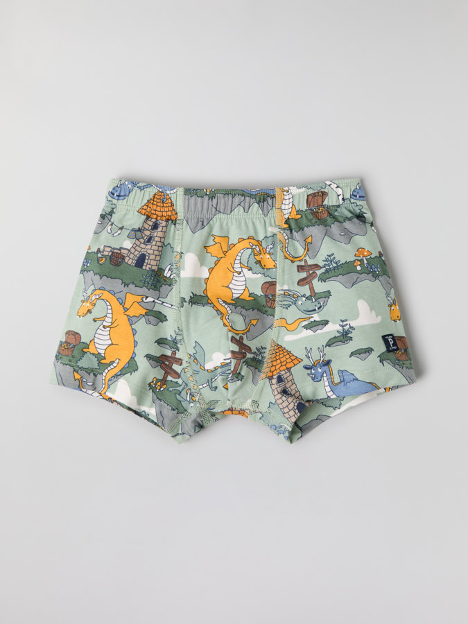 Boxershorts, Drachenmotiv