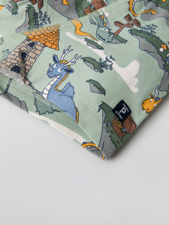 Boxershorts, Drachenmotiv